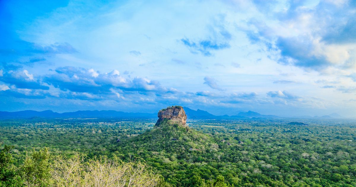 Discover the Charm of Hotels in Sigiriya A Gateway to Tranquility and Heritage