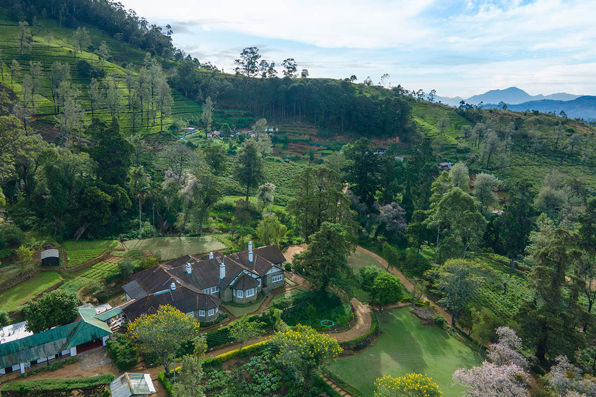 A Dream Honeymoon in the Highlands: Exploring the Best Honeymoon Packages in Nuwara Eliya