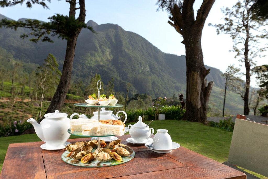 Reasons to stay at a tea hotel Sri Lanka for your next trip