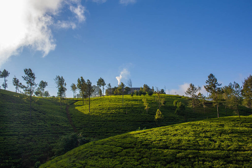 Things to do in Nuwara Eliya for outdoor enthusiasts