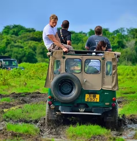 Explore the Majestic Wildlife of Sri Lanka on an Elephant Safari